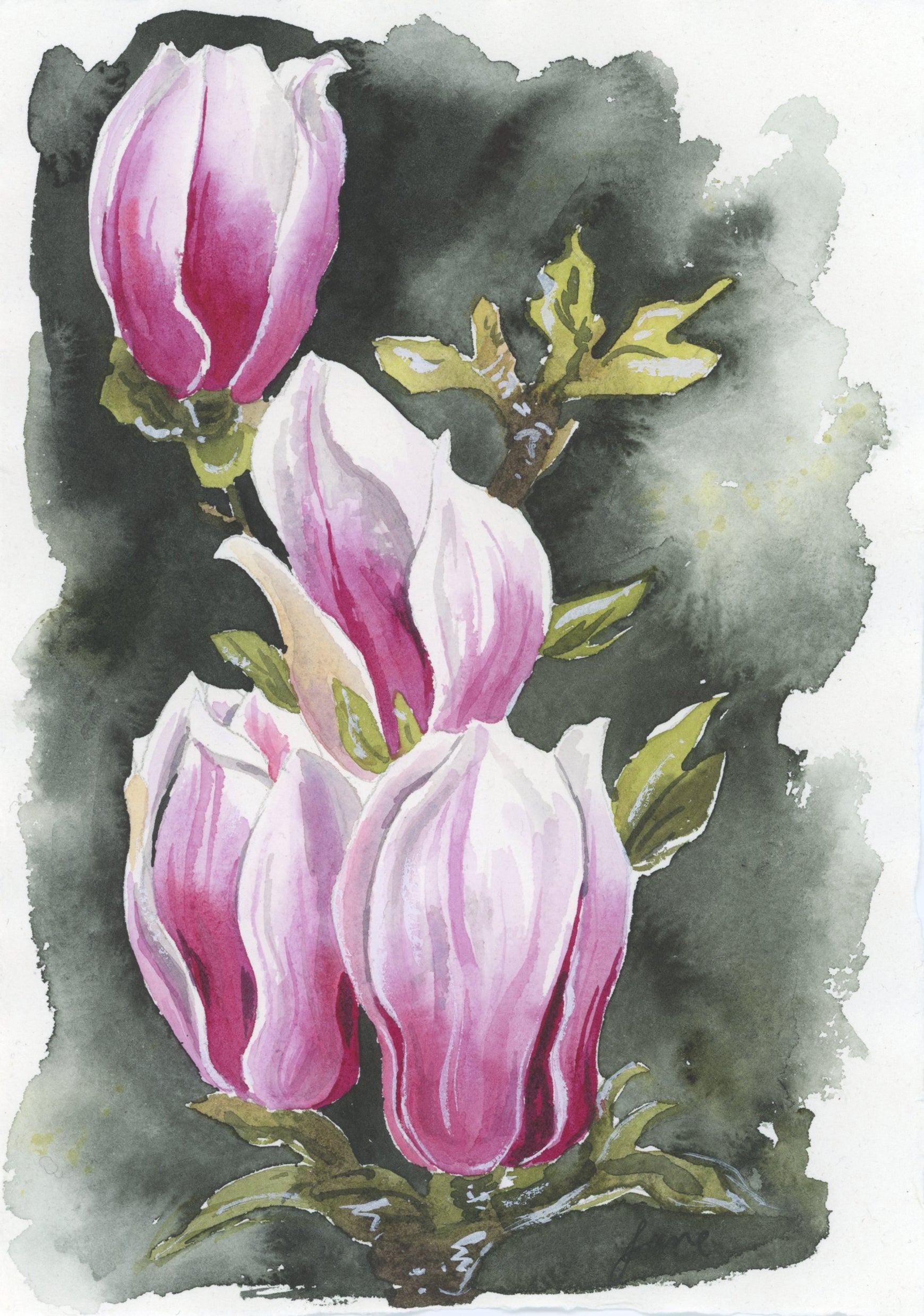 Painting - magnolias A5